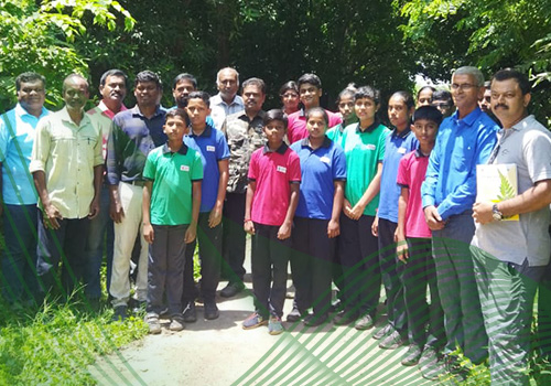 SJS Trust